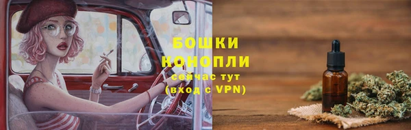 мдпв Верея
