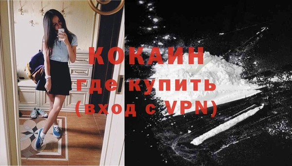 мдпв Верея