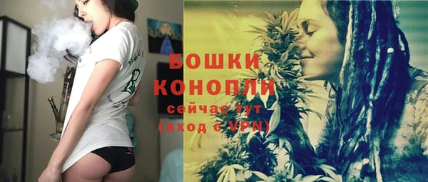 мдпв Верея