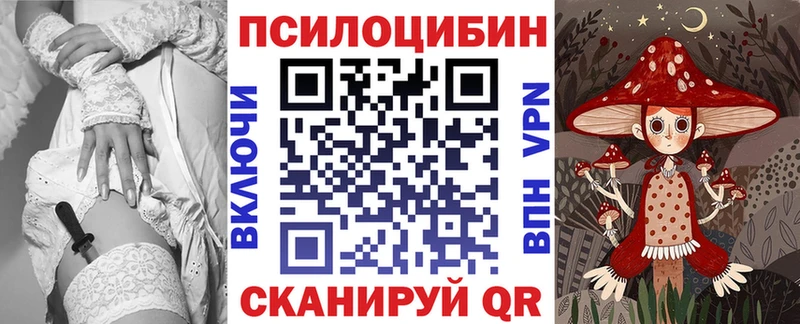 Псилоцибиновые грибы мицелий  закладки  Домодедово 